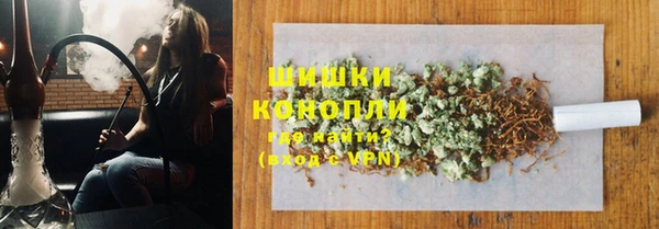 СК Богородск