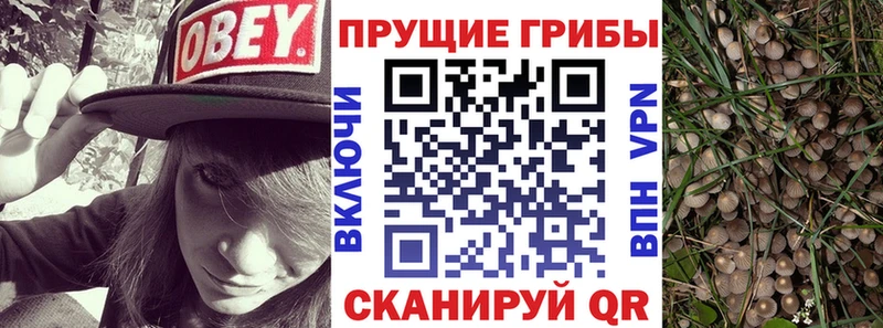 Галлюциногенные грибы ЛСД  закладки  Афипский 